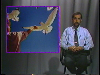 A woman reaching out to a soaring bird