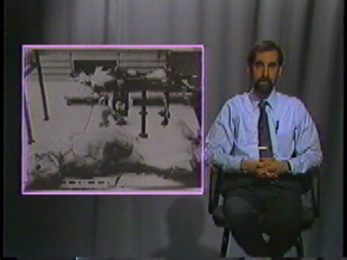 Dogs strapped down in a lab