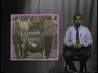 Hunters carrying a dead deer to their vehicle