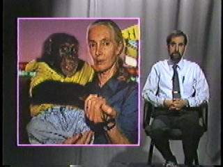 Jane Goodall with a chimp