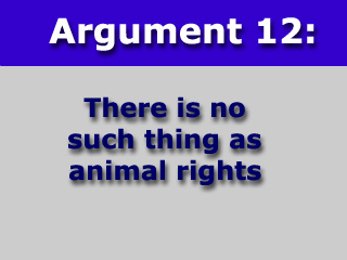 Argument Twelve: There is no such thing as animal rights.
