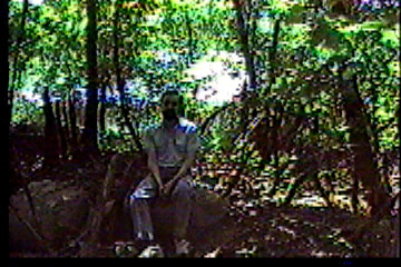 Sitting on a rock in the woods