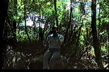 Steve sitting in woods, snaps a photo with his camera