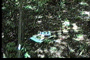 A pile of books on the ground