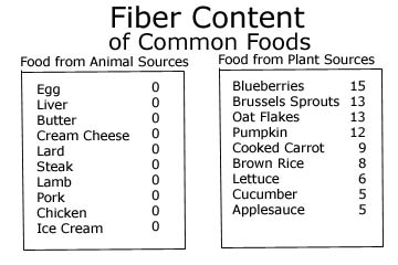 List of foods showing fiber content (g/kg).