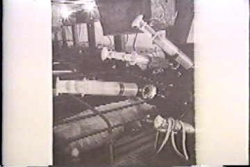 Factory-farmed pigs on drugs.