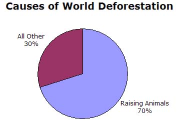 Pie Chart: Causes of World Deforestation: Meat Eating 70%; All Other 30%