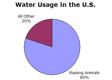 Pie Chart: Water Usage: Raising Animals 80%; All Other 20%