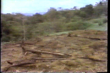 Cleared rainforest land