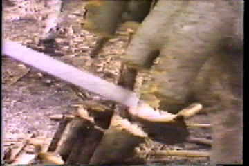 A chainsaw cutting down a tree