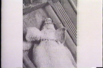 A confined pig with a chain wrapped around his throat and snout.