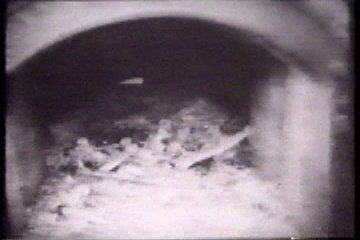 Close-up of the inside of the oven showing human bones.