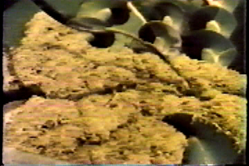 A food-preparation machine, mixing a liquid into a mixture of excrement and sawdust.