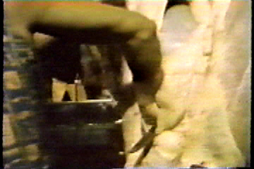 A butcher slicing open a cow.