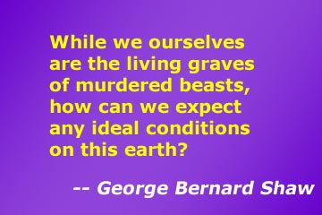 Quotes in favor of vegetarianism