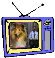 Answering Arguments Against Animal Rights