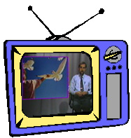 Answering Arguments Against Animal Rights